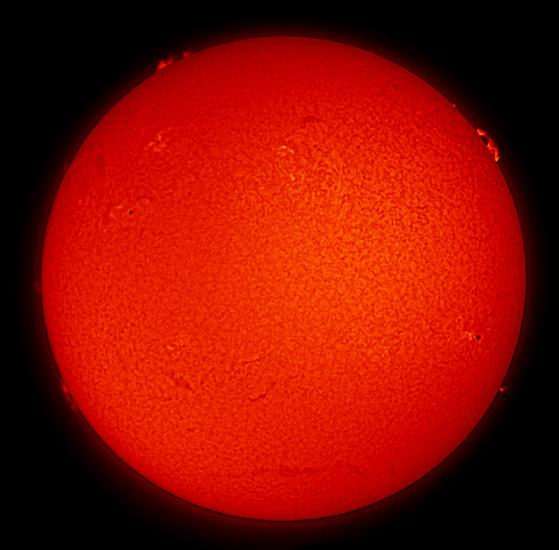 Disk view of the Sun with multiple sunspot clusters and filaments and prominences of plasma floating away from the surface of the Sun.