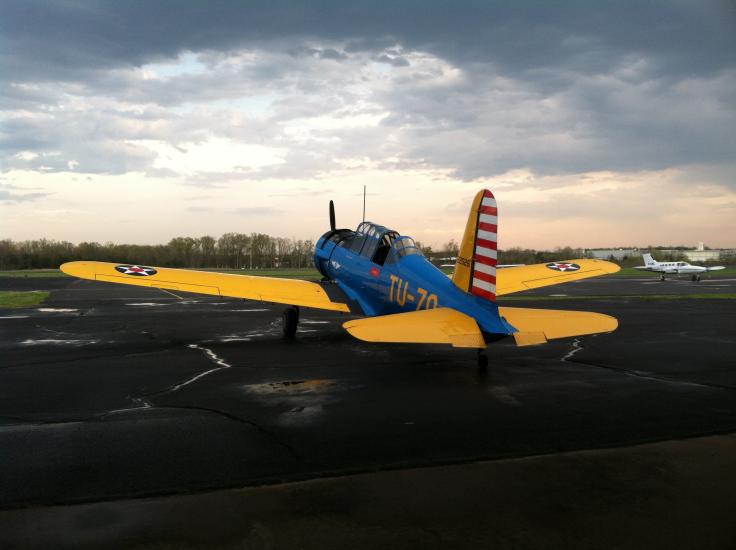 Back view of a blue monoplane with yellow wings and one engine.