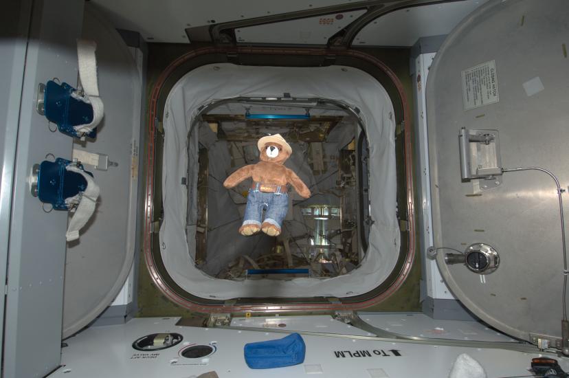 A Smokey Bear plush floats in zero gravity on board the International Space Station.