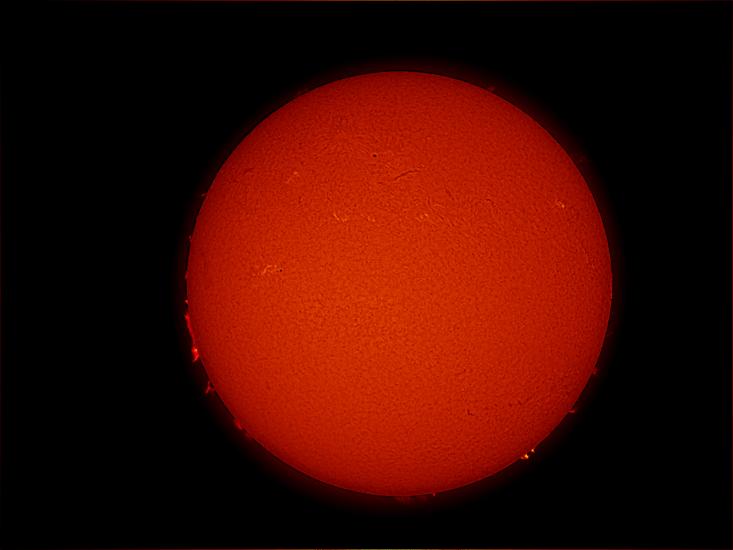 Disk view of the Sun's chromosphere with many prominences of floating gas visible on the far left and right edges of the disk, but little magnetic activity visible elsewhere.