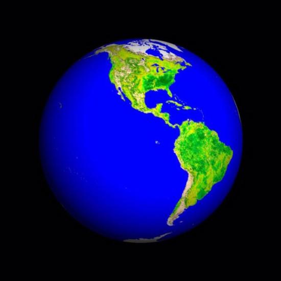 Earth's Vegetation