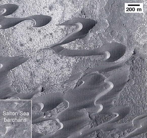 Barchan and Barchanoid Ridges on the surface of Mars