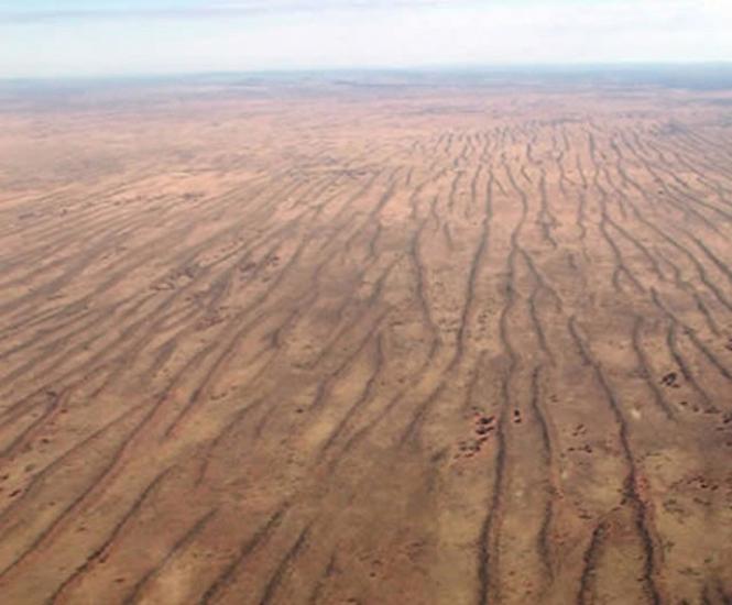 Simpson Desert