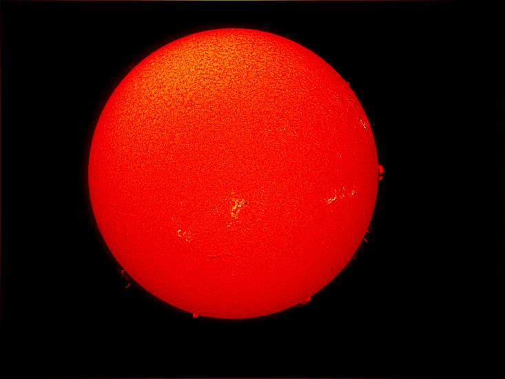 Disk view of the Sun's atmosphere with multiple sunspot clusters and phages (dark spots within lighter colors) and prominences, or gases floating from the surface of the Sun at the edges of the disk, visible on the bottom half of the disk.