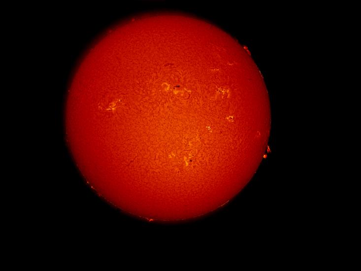 Disk view of the Sun's atmosphere. Dark spots known as sunspots are surrounded by lighter-colored clouds known as phages across the disk. Prominences, or red gases floating off the sun, are visible on the edges of the disk, mostly in the right half of the disk.