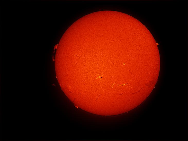 Disk view of the Sun's atmosphere. Several prominences, or red puffs of gases rising above the atmosphere of the Sun on the edge of the disk, are visible throughout the disk. Two sunspot clusters are visible with dark spots surrounded by lighter-colored phages on the bottom half of the disk.