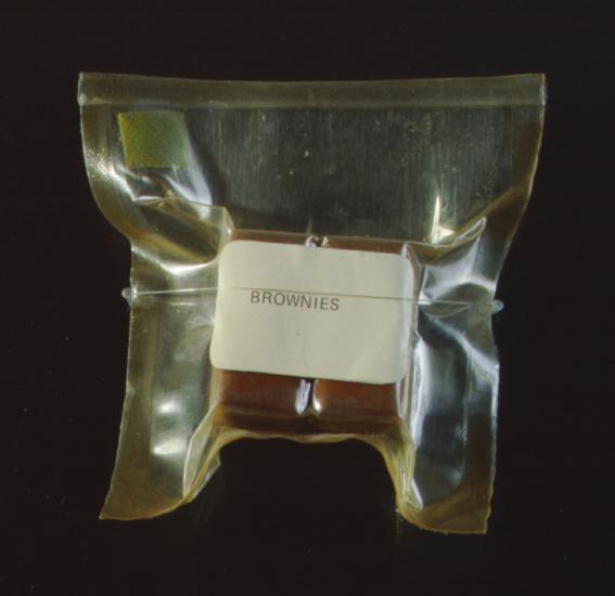 Apollo Space Food Brownies