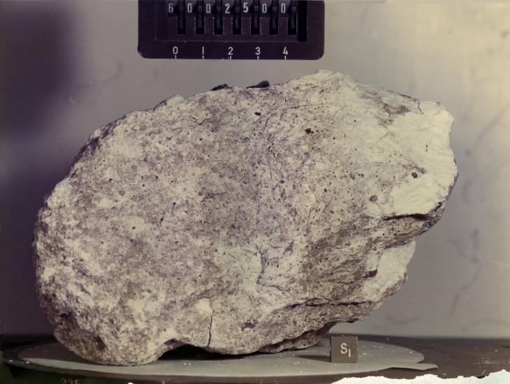 Lunar Anorthosite Sample