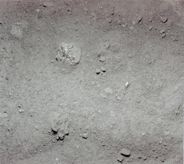 Lunar Soil Texture