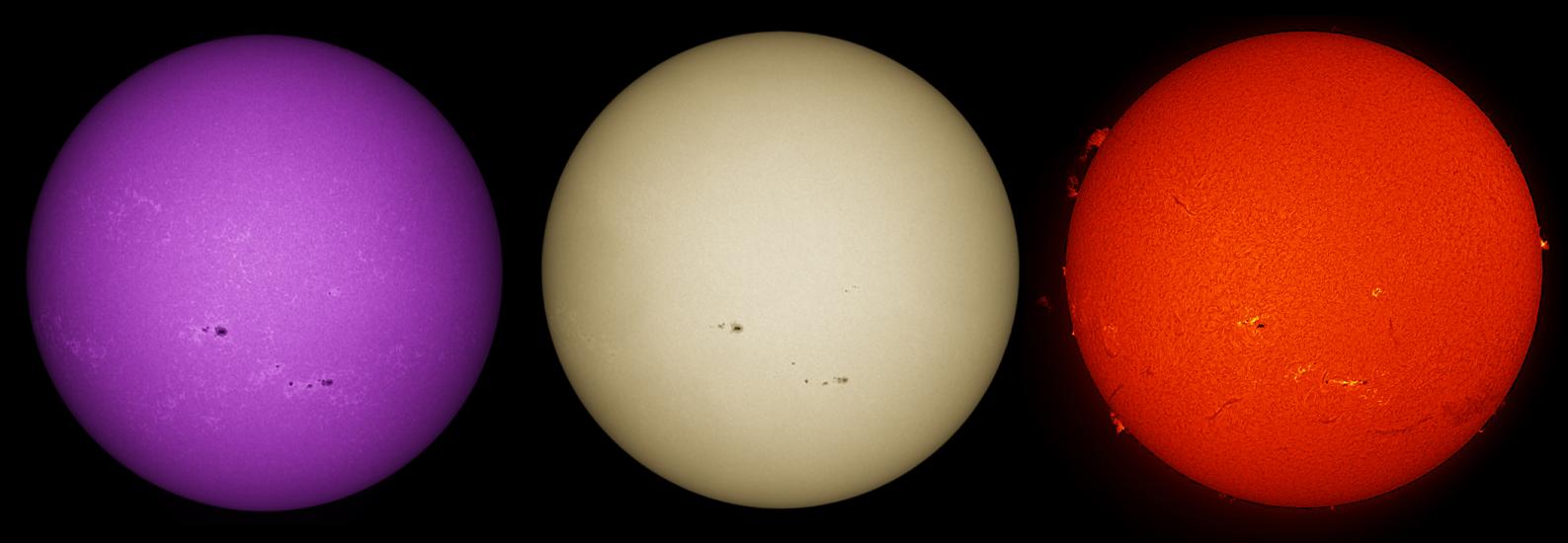 Three side-by-side disk views of the Sun. The left disk features sunspots visible through magnetic fields and they appear as dark spots surrounded by lighter spots called phages. The middle disk reveals the sunspots visible on the surface of the Sun. The right disk reveals the sunspots as dark spots surrounded by lighter-coloured phage clouds in the Sun's atmosphere. Prominences of gases floating off the edges of the disk are also visible.