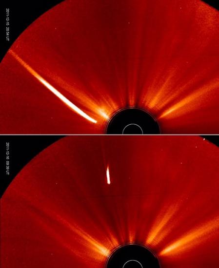 Comet Lovejoy Survives A Close Encounter with the Sun