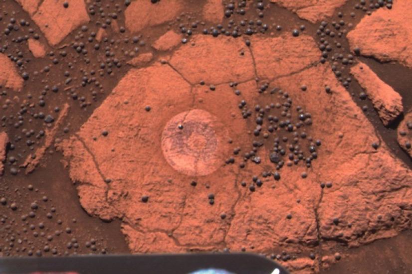 Blueberries on Mars