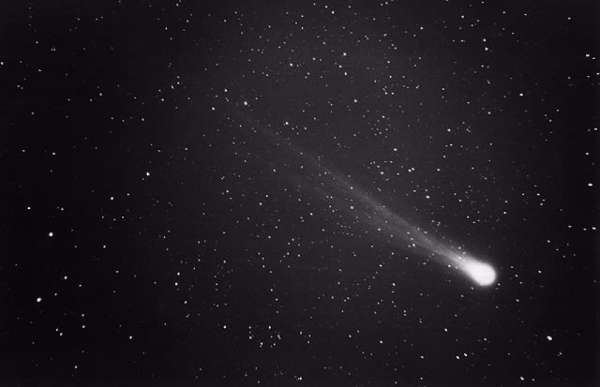 Halley's Comet