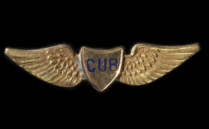 Cub Lapel Pin