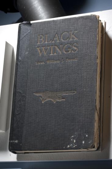 A black, leather-like book cover featuring a golden engraving of a monoplane as well as the title and author engraved in gold.