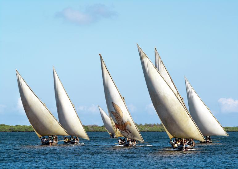 Several sailboats with a large, triangular-shaped sail are seen together on a body of water.