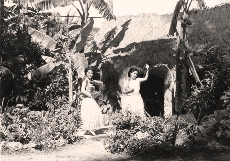 Hula Dancers