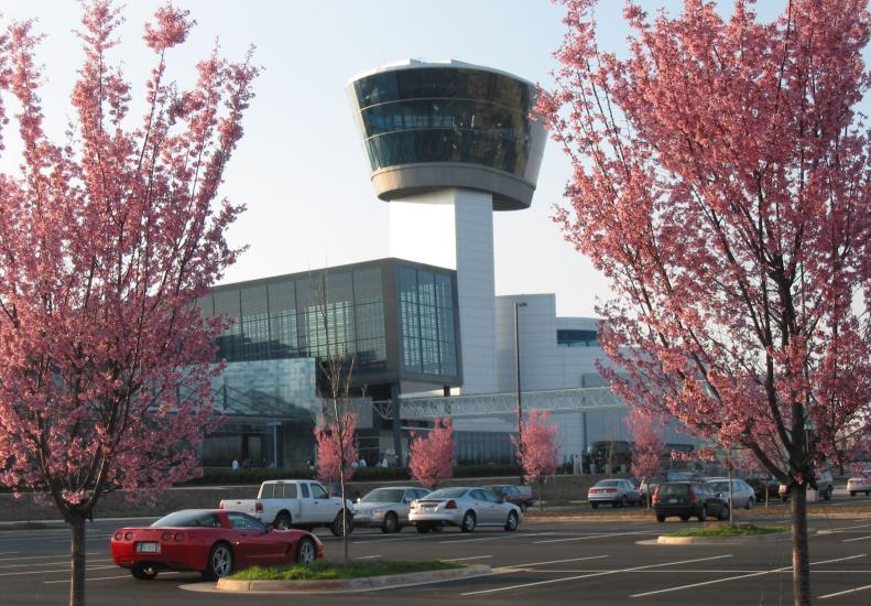 Cherry Trees in Bloom at Udvar-Hazy Center