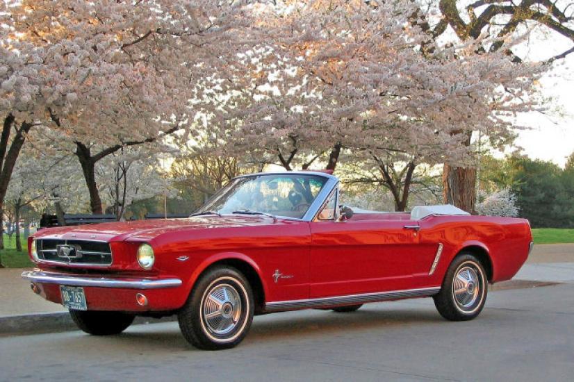 An antique red Ford Mustang is parked below cherry blossom trees on the National Mall.