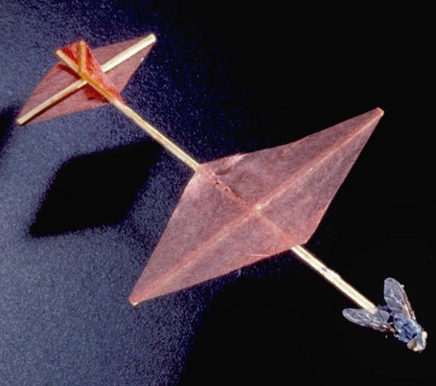 Insect-Powered Model Airplane