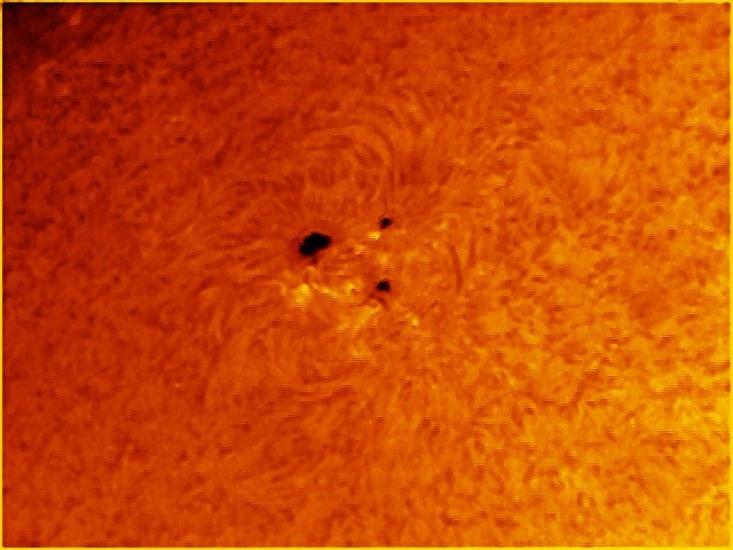 A view of three sunspots on the Sun.