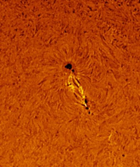 A view of two sunspots on the Sun.