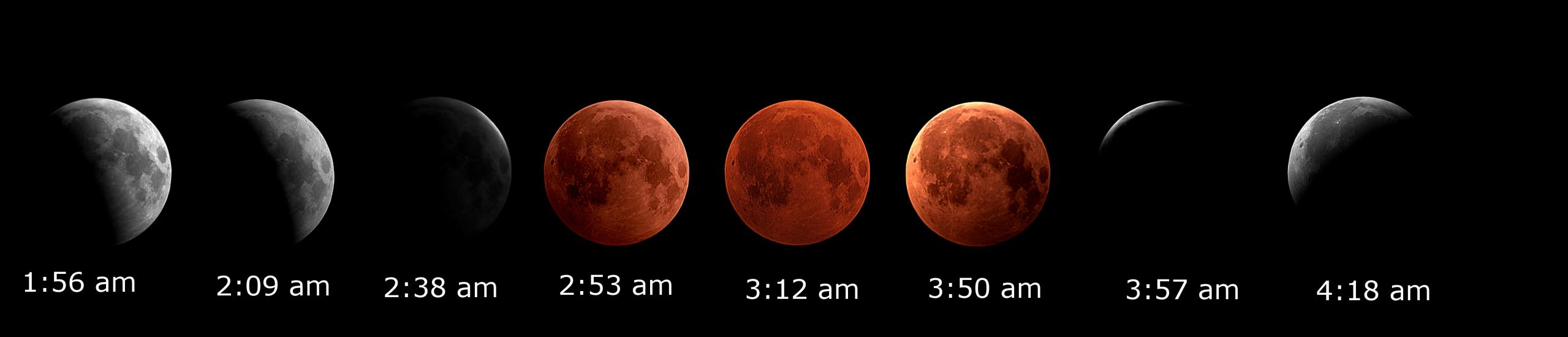 A collage of the various phases of the December 2010 lunar eclipse.