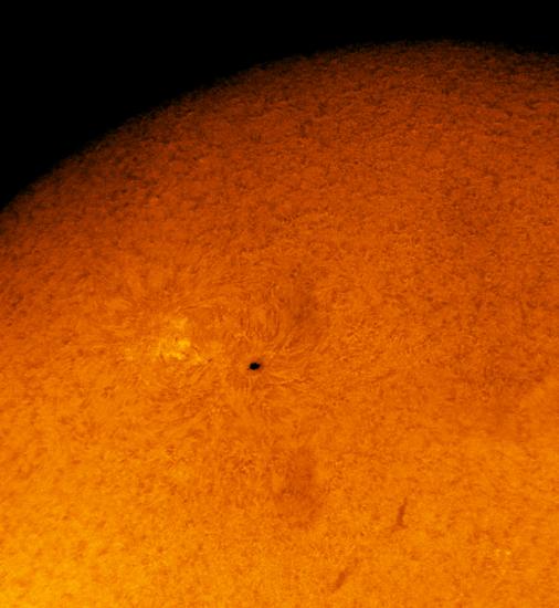 Sun - January 19, 2011