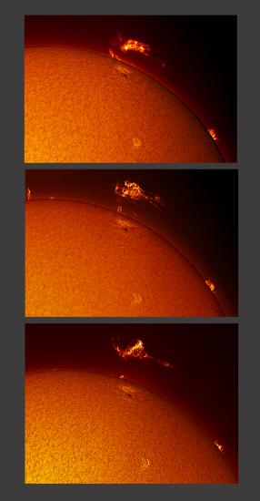 A set of three photos of the Sun with an emphasis on a prominence of plasma floating away from the core section of gases.