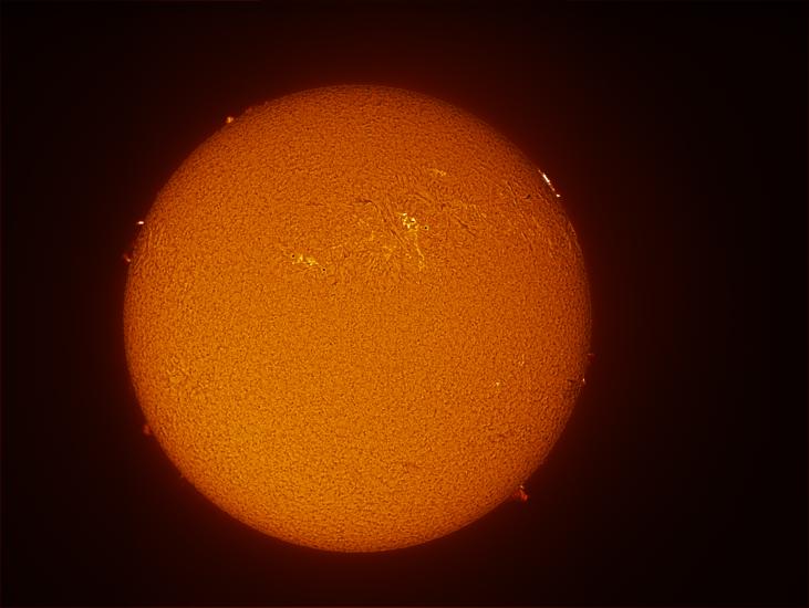 Disc view of the Sun, with a view of a few sunspots and prominences throughout the disc.