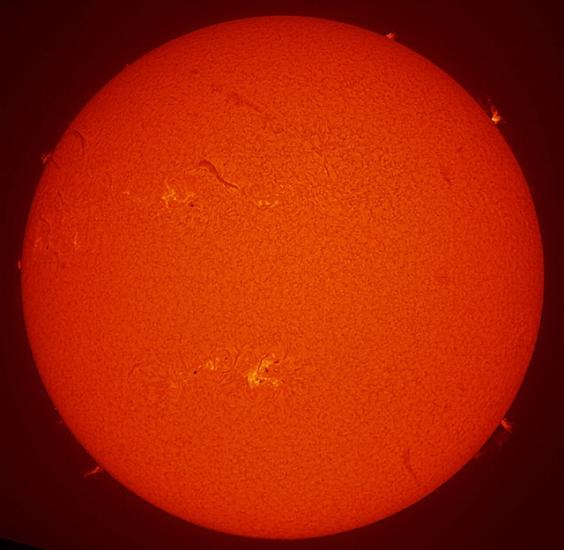 Disk view of the Sun's surface with multiple prominences and filaments as well as a solar flare in the bottom left quadrant.