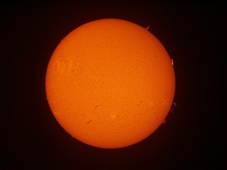 Disk view of the Sun with multiple large prominences visible on the right side of the Sun.