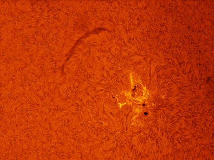 Close-up view of a sunspot group and filament visible on the Sun's surface.