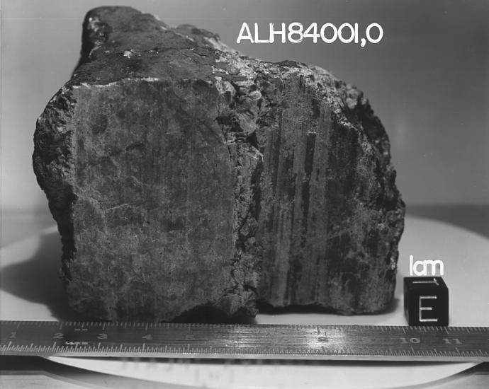 Meteorite ALH84001