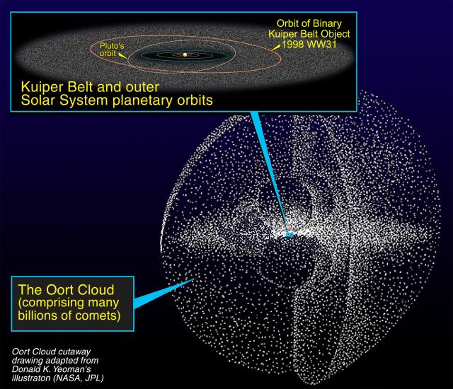 The Oort Cloud