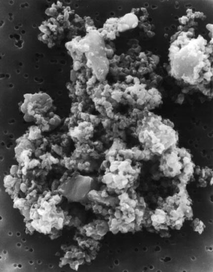 Microscopic view of comet dust.