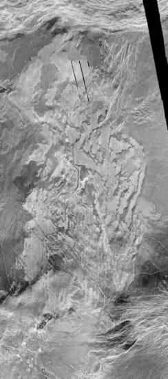 A satellite view of fields of dried lava flows on the surface of Venus.