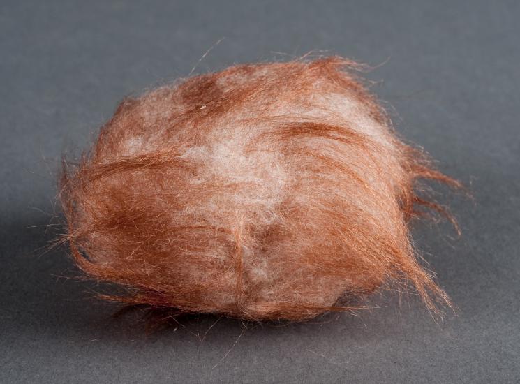 Brown and light-brown-colored fur animal prop used in the television show Star Trek.