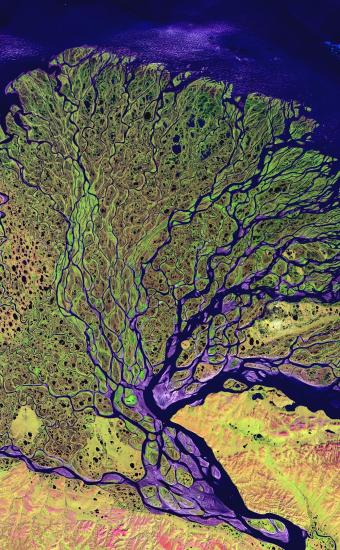 False color image of river delta from above. Delta appears in green and yellow, water appears in purple.