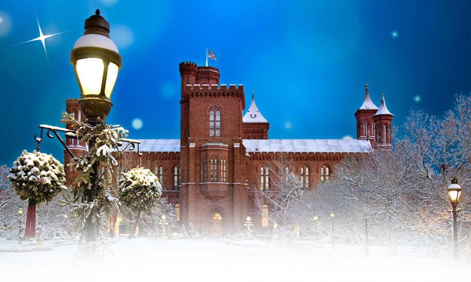 Smithsonian Holiday Festival: Experience the Mall with More!