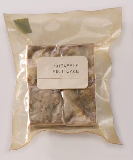 Apollo Space Food Pineapple Fruitcake