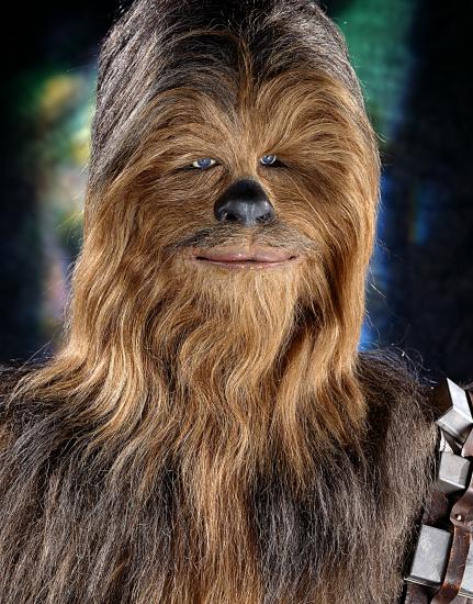 Chewbacca costume, pictured in the Star Wars: The Magic of Myth exhibition.