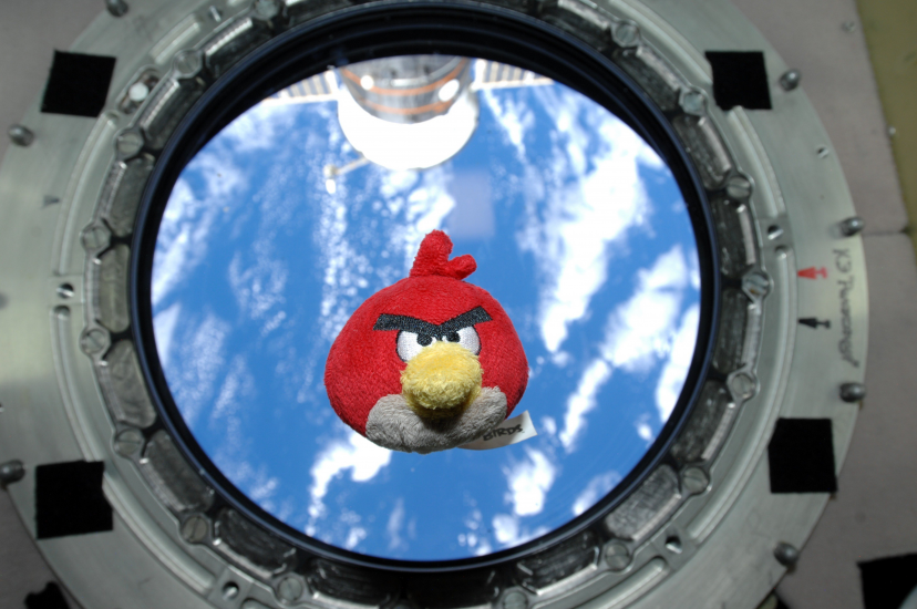 A plush toy Angry Bird floats on the International Space Station. Windows are behind the toy. The toy is facing the camera.