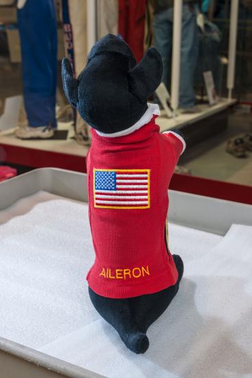 The top of Aileron's sweater with an embroidered US flag and his name in yellow.