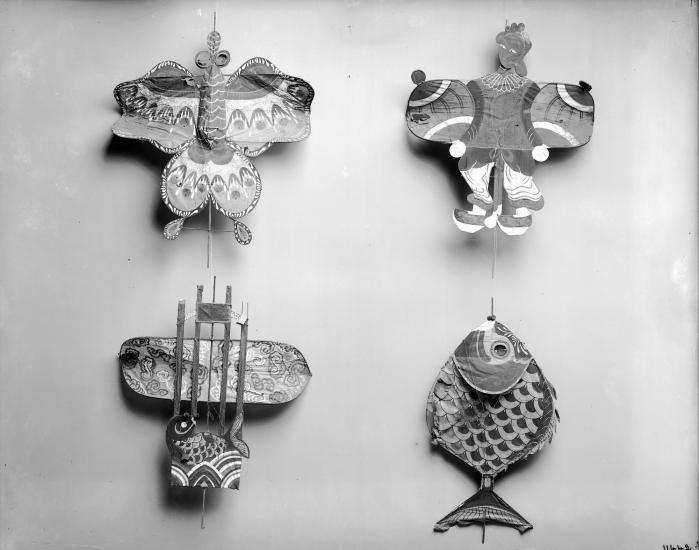 The Museum’s Chinese kites hanging in the Tin Shed.